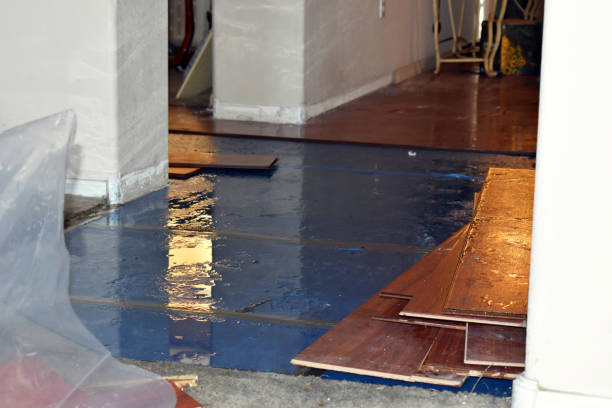 Professional Burst Pipe Cleanup technician working in Whitinsville, MA